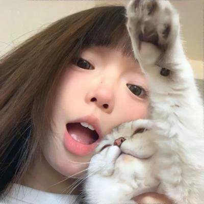一条叫王子的狗